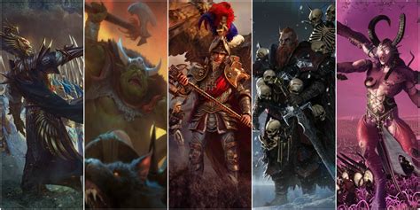 Til You can take heroes from other races In Total war warhammer .